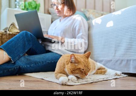Chat rouge endormi sur le sol, femme avec ordinateur portable hors foyer Banque D'Images