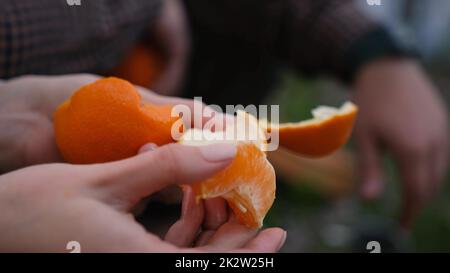 Femme peeling à la main mandarine douce mûre, gros plan au-dessus de la cheminée dans la forêt au camping et nourrir le petit ami Banque D'Images