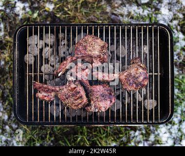 Porte-Doe ou cerf grillé au romarin et au sel. Barbecue extérieur. Banque D'Images