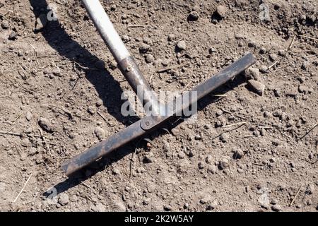 Photo d'un râteau de jardin sur un lit. Ancien râteau de métal dans le jardin. Nettoyage du ressort. Formation du sol pour la plantation avec un râteau au printemps, travailler avec un outil de jardin. Préparation du sol pour le semis. Banque D'Images