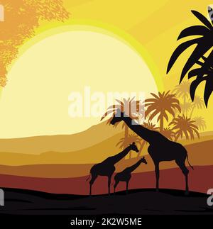 Affiche de carte de savane africaine de dessin animé - girafes pendant le coucher du soleil, espace libre pour votre texte Banque D'Images