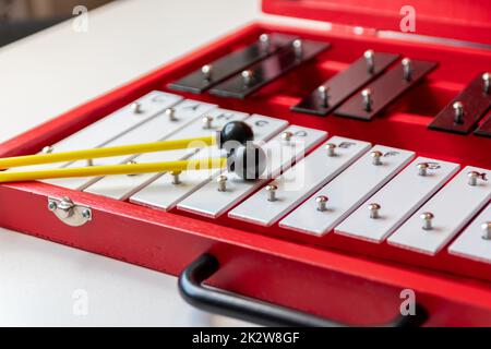 Bâtons de tambour sticcado Xylophone portables pour les arts de la musique éducatifs instrument classique pour la créativité musiciens pour le rythme de clavier avec des changements de bâton pour écouter la musique jouer la joie Banque D'Images