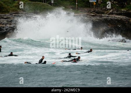 Un groupe de surfeurs en file d'attente pour les vagues suivantes à Malabar Beach en Australie Banque D'Images