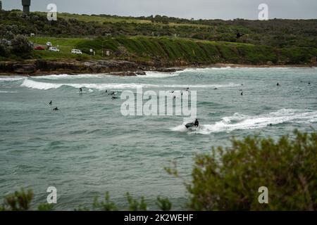 Un groupe de surfeurs en file d'attente pour les vagues suivantes à Malabar Beach en Australie Banque D'Images