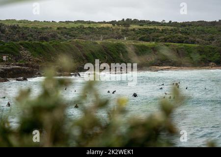 Un groupe de surfeurs en file d'attente pour les vagues suivantes à Malabar Beach en Australie Banque D'Images