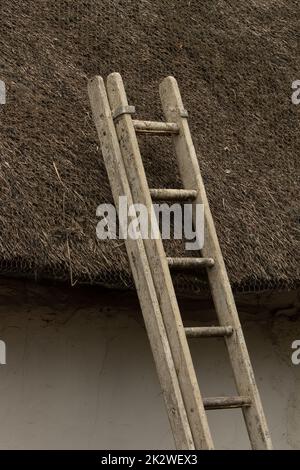 Une échelle en bois d'époque penchée sur le toit de chaume de la grange Banque D'Images
