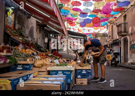 Vendeur organisant des fruits à la stalle dans le marché sous des parasols colorés dans la ville Banque D'Images