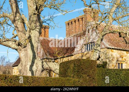 Bateman's House, Burwash, East Sussex, ancienne maison de Rudyard Kipling avec haie et grand vieux arbre Banque D'Images