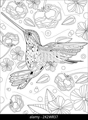 Hummingbird Eating Flower Syrup with Flowers and Roses Ennding Line Drawing coloriage Book Banque D'Images