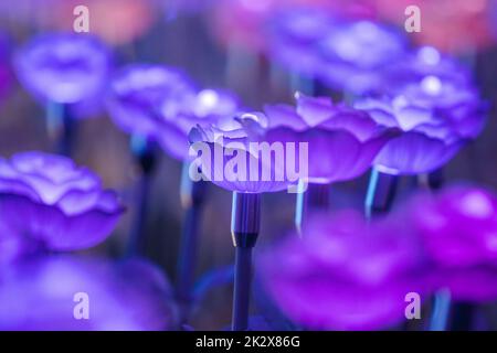 Les lumières sont décorées comme des fleurs pour créer une belle lumière la nuit au festival. Banque D'Images