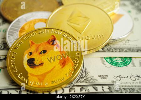 Dogecoin avec Wow pour les affaires en ligne et commerciales, monnaie numérique, crypto-monnaie virtuelle. Banque D'Images