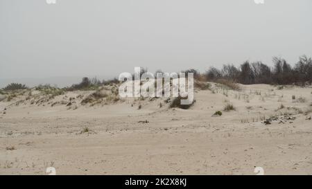 Panorama des dunes de sable sur la plage près de tel Dor, Israël Banque D'Images
