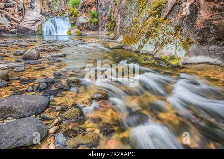 Cascade sur le ruisseau Tenderfoot dans le petit belt montagnes près de White Sulphur Springs, Montana Banque D'Images