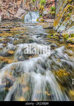 Cascade sur le ruisseau Tenderfoot dans le petit belt montagnes près de White Sulphur Springs, Montana Banque D'Images