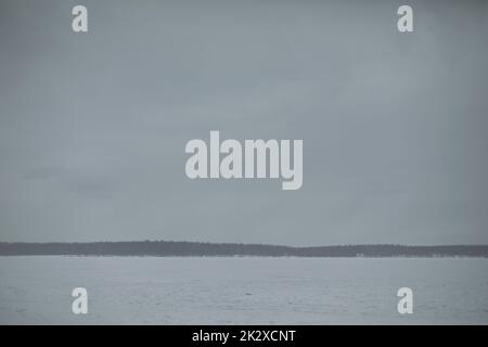 Lac en hiver. Jour gris. Temps nuageux. Champ enneigé et forêt à l'horizon. Banque D'Images