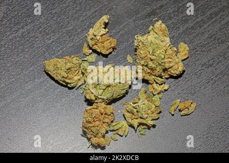 Les bourgeons de marihuana gros plan dans le fond noir pur médical cbd super citron haze cannabis sativa famille cannabaceae grande taille haute qualité impressions Banque D'Images