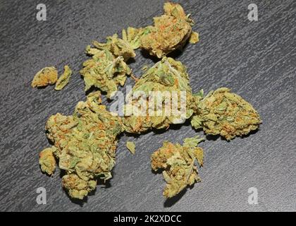 Les bourgeons de marihuana gros plan dans le fond noir pur médical cbd super citron haze cannabis sativa famille cannabaceae grande taille haute qualité impressions Banque D'Images