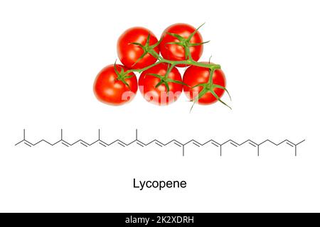 Tomates panicules et formule chimique et structure du lycopène, E160d Banque D'Images