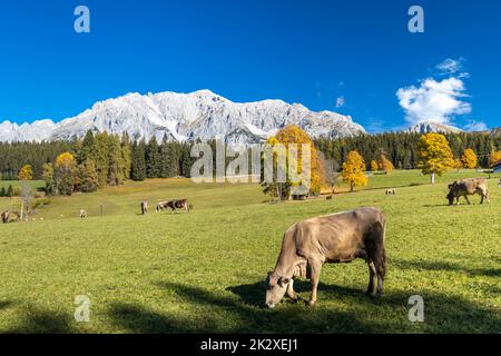 Vue d'automne sur le massif de Dachstein en Autriche Banque D'Images