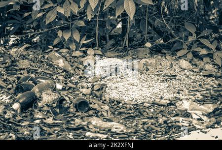 Déchets déchets déchets dans la jungle au Mexique. Banque D'Images