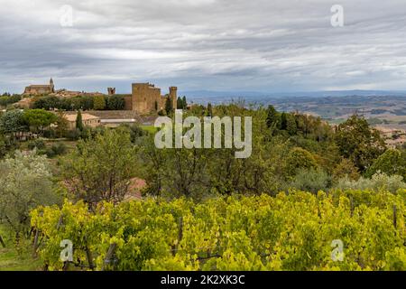 Les vignobles les plus célèbres de Toscane près de la ville de Montalcino en Italie Banque D'Images