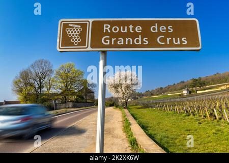 Route des vins (route des Grands crus) près de Beaune, Bourgogne, France Banque D'Images