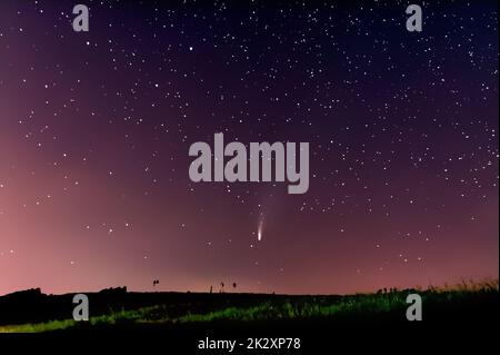 Comet Neowise C/2020 F3 in Night Sky, photographié on2020-07-19 sur une colline de l'Alb souabe, Allemagne, Europe Banque D'Images