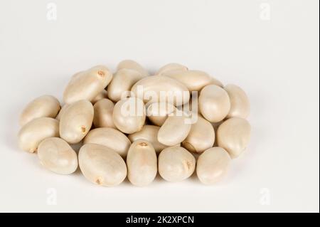 Graines de Jackfruit sur blanc Banque D'Images