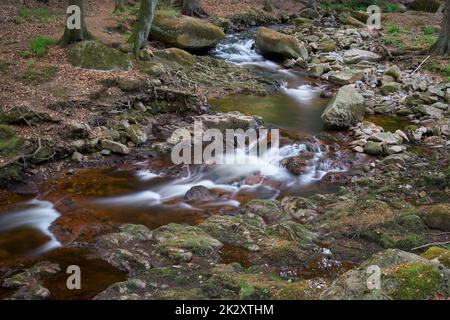 La rivière Ilse à Ilsenburg au pied du Brocken dans le parc national de Harz en Allemagne Banque D'Images