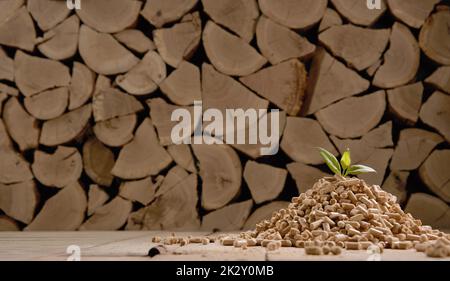 Pile de bois empilée dans le stockage près de pellets et de feuilles éparpillés Banque D'Images