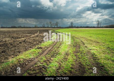 Champ labouré à côté de la prairie et des nuages pluvieux Banque D'Images