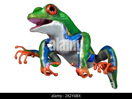 3D rendu de la grenouille d'arbre Amazon sur blanc Banque D'Images