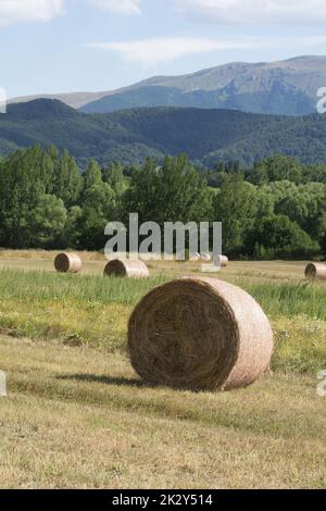 Un champ de balles de foin situé dans les Apennines, Abruzzo (Italie) Banque D'Images