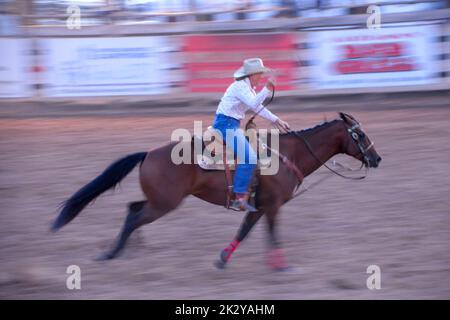 Une cowgirl gallops à pleine vitesse dans l'épreuve de course de canon d'un Rodeo dans le Colorado Banque D'Images