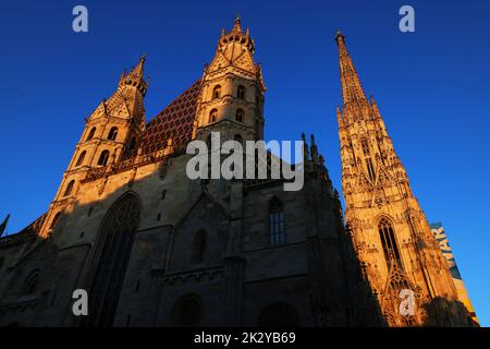 Gotik, Kirche, Figuren, Österreich, Wien Kirche, Wien Dom, Stephansdom, er ist das Wahrzeichen von Wien Banque D'Images