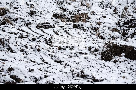 Le sol sous la neige. Un champ cultivé en hiver. Une fine couche de neige sur un champ en hiver. Banque D'Images