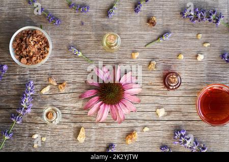 Sélection d'huiles essentielles d'aromathérapie avec myrrhe, encens, lavande et échinacée sur fond de bois Banque D'Images