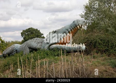 Modèle LifeSize de Deinosuchus dinosaure un genre éteint d'un crocodilien alligatoroïde All Things Wild, Honeybourne, Royaume-Uni Banque D'Images