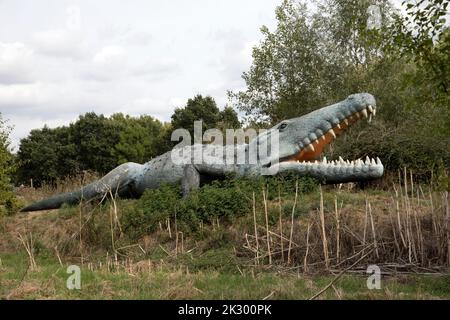 Modèle LifeSize de Deinosuchus dinosaure un genre éteint d'un crocodilien alligatoroïde All Things Wild, Honeybourne, Royaume-Uni Banque D'Images