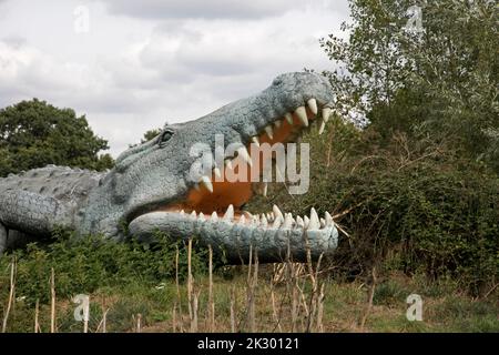 Modèle LifeSize de Deinosuchus dinosaure un genre éteint d'un crocodilien alligatoroïde All Things Wild, Honeybourne, Royaume-Uni Banque D'Images