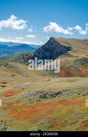 Un champ de bleuets séchés sur une montagne avec un pic rocheux au loin et des nuages et ciel bleu en arrière-plan Banque D'Images