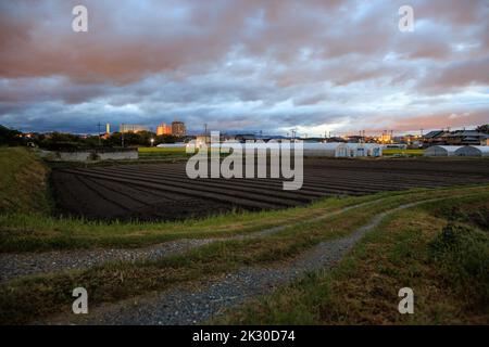 Indice de lever de soleil dans les nuages sur le champ non planté et la route de terre sur la petite ferme Banque D'Images