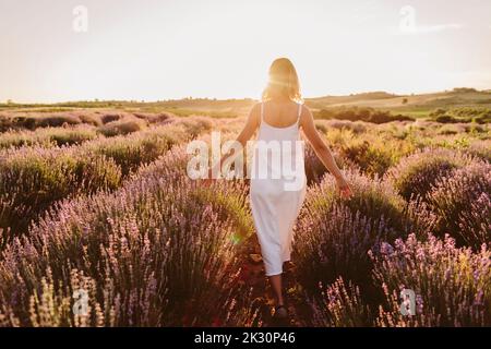 Femme touchant des fleurs de lavande marchant dans le champ au coucher du soleil Banque D'Images