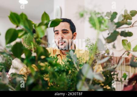 Florist making bouquet in flower shop Banque D'Images