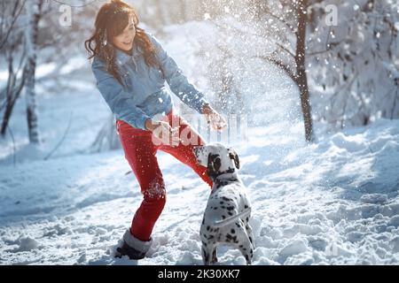 Woman and Dalmatian dog playing with snow at park Banque D'Images