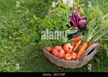 Légumes frais dans le panier sur l'herbe Banque D'Images