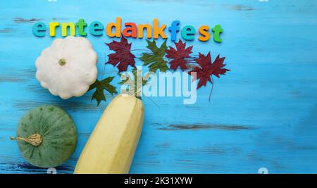 Citrouilles et feuilles d'automne sur une table rustique. Zucchini, patisson récolte Erntedankfest. Pose à plat Banque D'Images