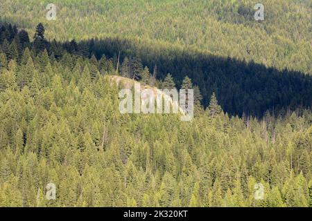 Une falaise exposée dans la forêt nationale de Colville, dans le comté de Pend-oreille, dans le nord-est de l'État de Washington, États-Unis. Banque D'Images