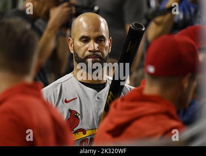 Los Angeles, États-Unis. 23rd septembre 2022. slugger des Cardinals de Saint-Louis Albert Pujols se prépare à battre dans le sixième repas contre les Dodgers de Los Angeles au stade Dodger de Los Angeles vendredi, 23 septembre 2022. Photo de Jim Ruymen/UPI crédit: UPI/Alay Live News Banque D'Images