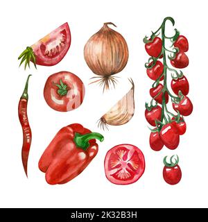 Un ensemble de légumes colorés et colorés peints d'aquarelle : tomates cerises, piment, oignons, tomates, paprika sur fond blanc. Banque D'Images